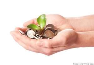 money-plant - OA - Central New Mexico Intergroup
